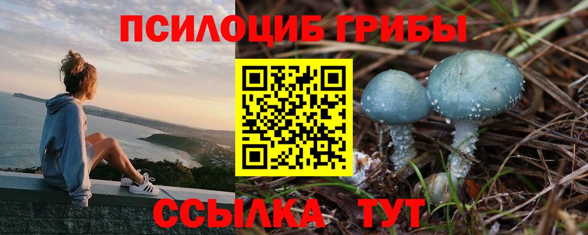 Галлюциногенные грибы мухоморы Мурманск