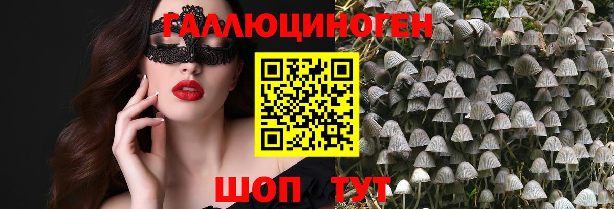 Псилоцибиновые грибы MAGIC MUSHROOMS  Вход с VPN  Мурманск 